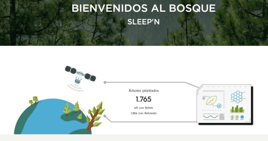 PEQUEÑOS GESTOS, GRANDES BOSQUES: TU IMPACTO EMPIEZA AQUÍ