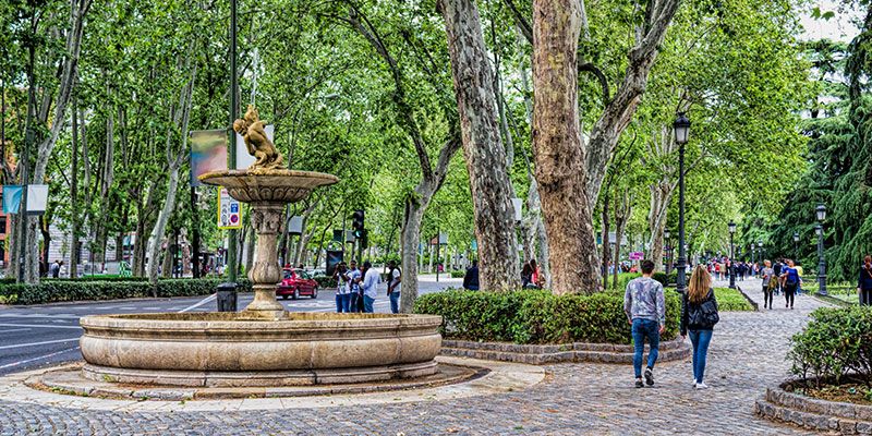 Paseo del Prado