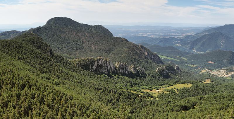 La deforestación en España